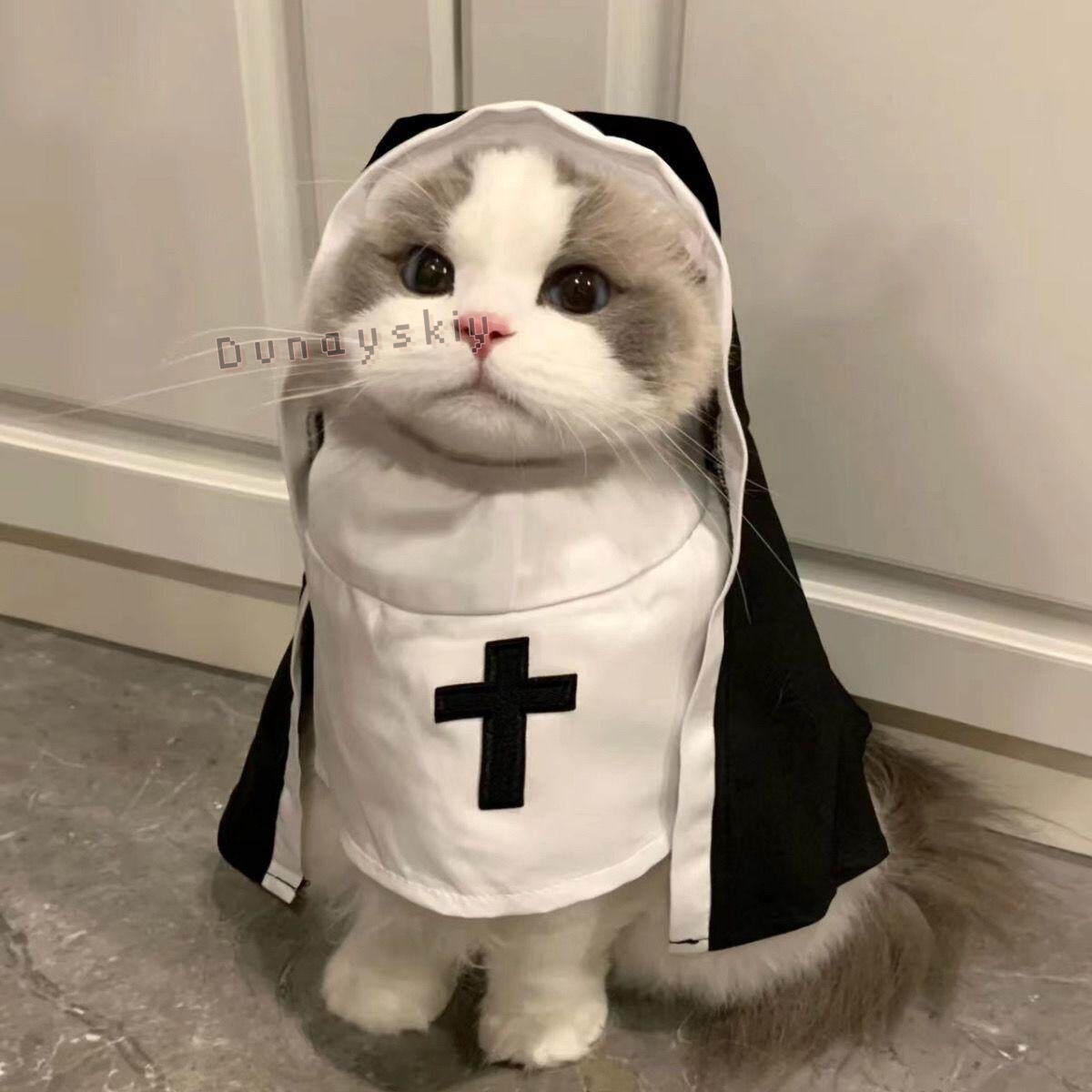 Costume de Noël pour animaux d - Anime Cosplay Nun avis et prix