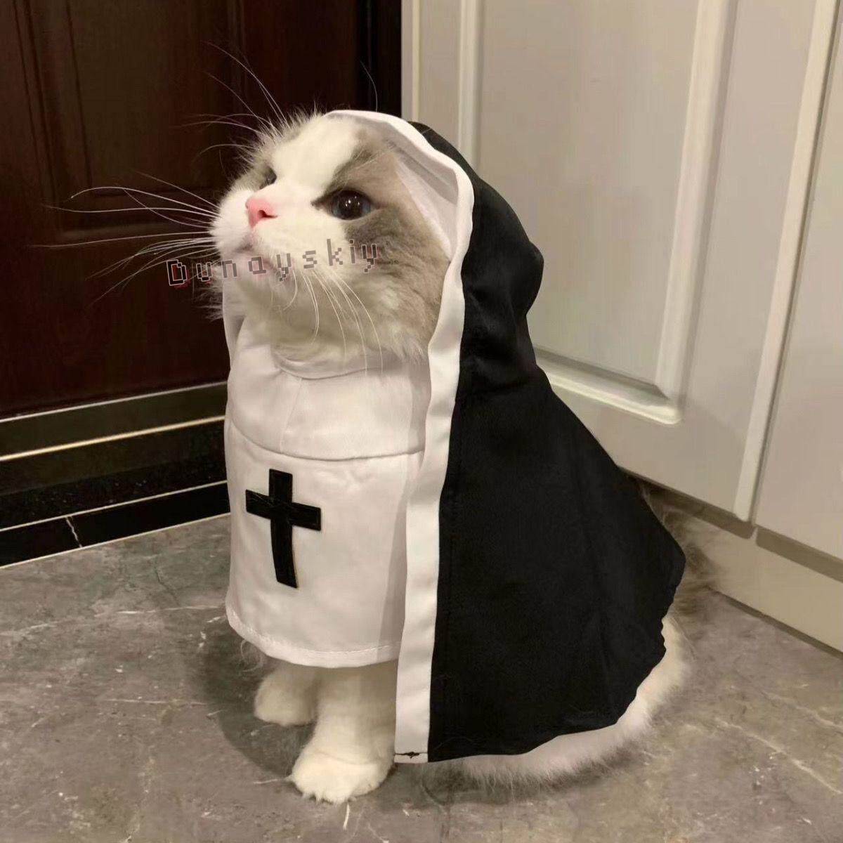 Costume de Noël pour animaux d - Anime Cosplay Nun avis et prix