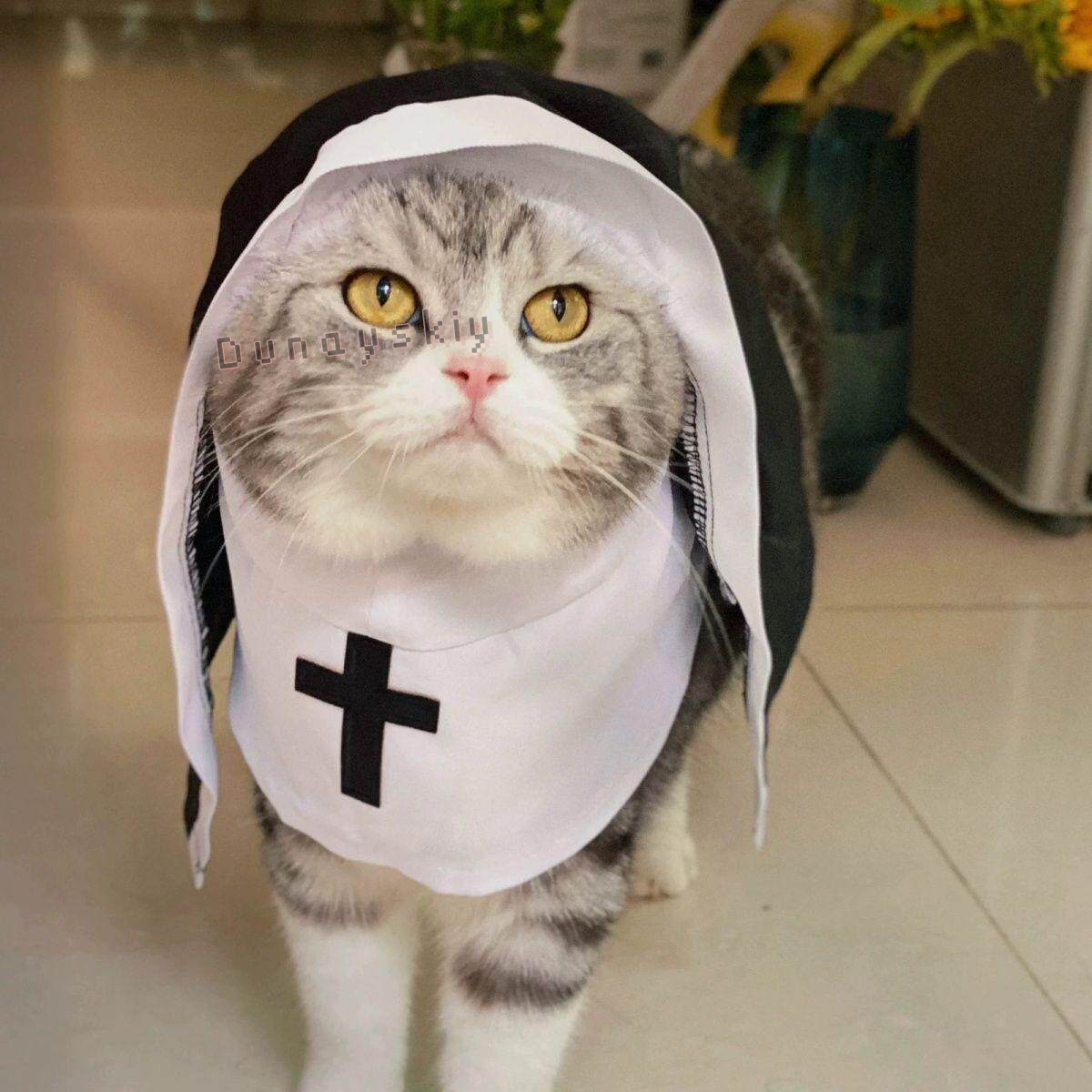Costume de Noël pour animaux d - Anime Cosplay Nun avis et prix