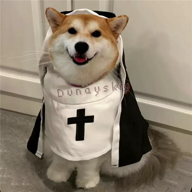 Costume de Noël pour animaux d - Anime Cosplay Nun avis et prix